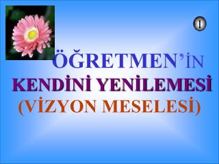 ÖĞRETMEN ’ İN KENDİNİ YENİLEMESİ (VİZYON MESELESİ)