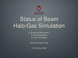 Status of Beam Halo/Gas Simulation