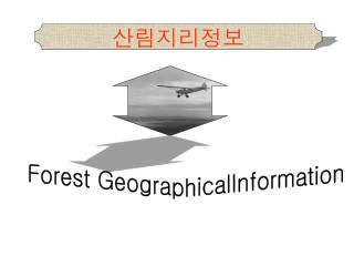 Forest GeographicalInformation