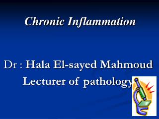 Chronic Inflammation Dr : Hala El-sayed Mahmoud Lecturer of pathology