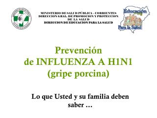 Prevención de INFLUENZA A H1N1 (gripe porcina)