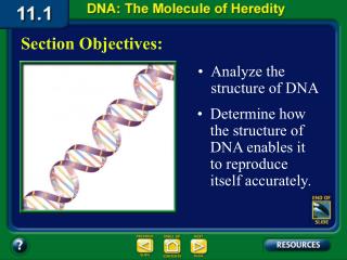 11.1 Section Objectives – page 281