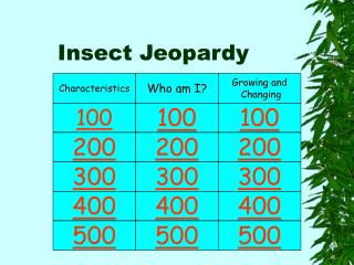 Insect Jeopardy