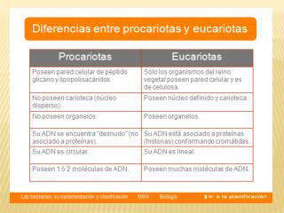 Cómo no se contagia el HIV El virus del SIDA no se transmite en ningún caso: