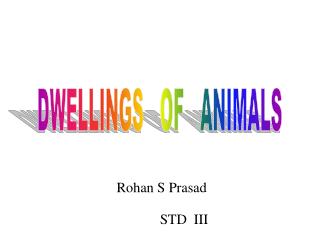Rohan S Prasad