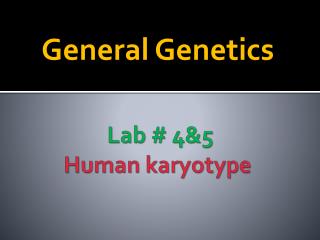 Lab # 4&amp;5 Human karyotype