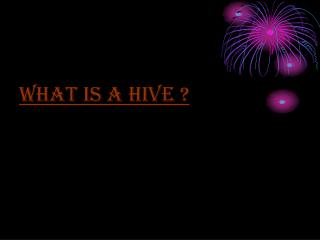 What is a hive ?