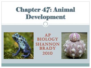 Chapter 47: Animal Development
