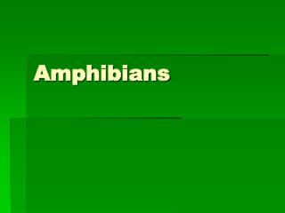 Amphibians