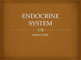 ENDOCRINE SYSTEM