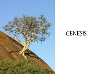 GENESIS