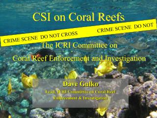 CSI on Coral Reefs