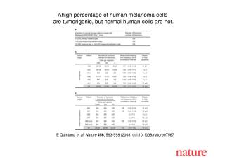 E Quintana et al. Nature 456 , 593-598 (2008) doi:10.1038/nature07567