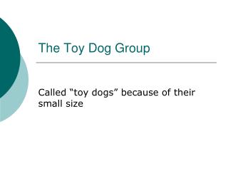 The Toy Dog Group