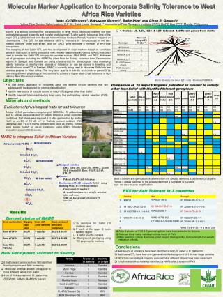 Molecular Marker Application to Incorporate Salinity Tolerance to West Africa Rice Varieties