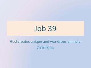 Job 39