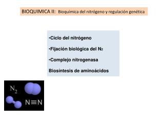 Ciclo del nitrógeno Fijación biológica del N 2 Complejo nitrogenasa Biosíntesis de aminoácidos