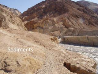 Sediments