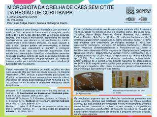Colônias bacterianas isoladas em Ágar Chocolate
