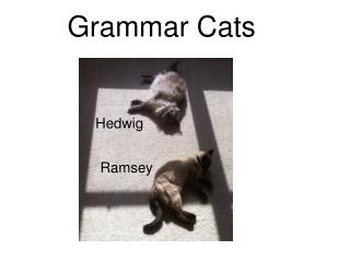 Grammar Cats