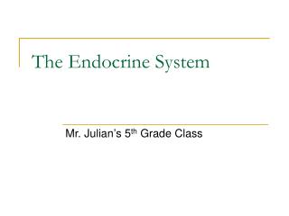 The Endocrine System