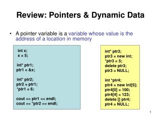 Review: Pointers &amp; Dynamic Data