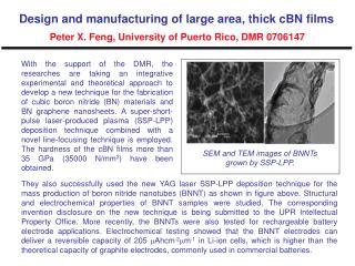 SEM and TEM images of BNNTs grown by SSP‑LPP.