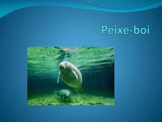 Peixe-boi