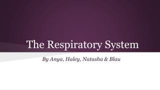 The Respiratory System