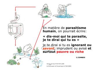 En matière de parasitisme humain , on pourrait écrire: 