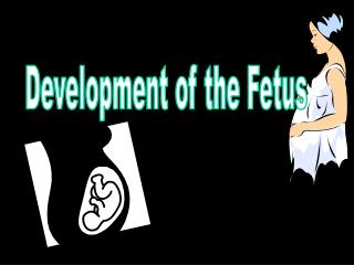 Development of the Fetus