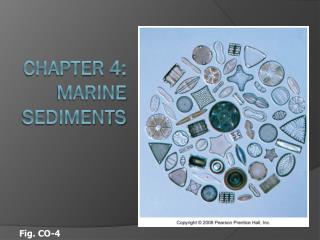 CHAPTER 4: Marine Sediments