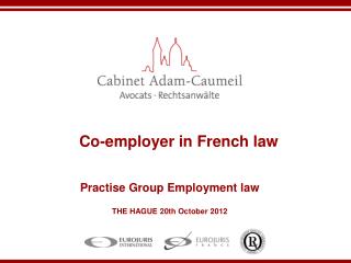 Co-employer in French law