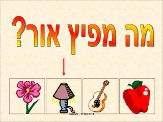 מה מפיץ אור?