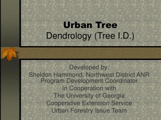 Urban Tree Dendrology (Tree I.D.)