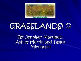 GRASSLANDS! 