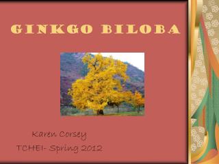 Ginkgo Biloba