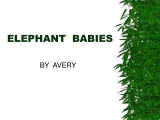 ELEPHANT BABIES