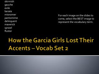 How the Garcia Girls Lost Their Accents – Vocab Set 2