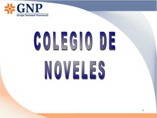 COLEGIO DE NOVELES