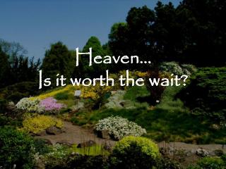 Heaven… Is it worth the wait?