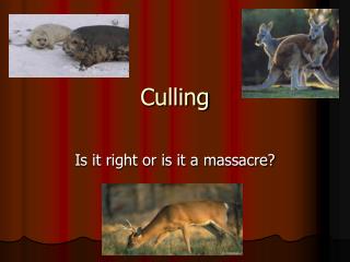 Culling