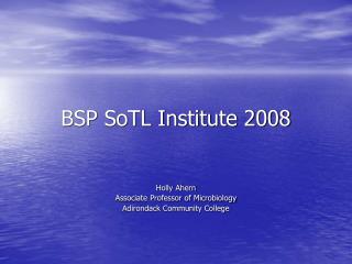 BSP SoTL Institute 2008