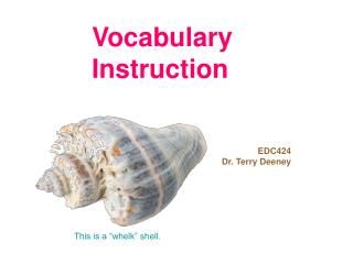 Vocabulary Instruction