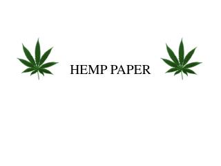 HEMP PAPER