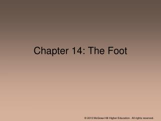 Chapter 14: The Foot