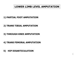 LOWER LIMB LEVEL AMPUTATION