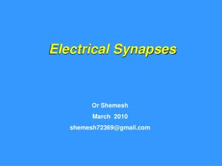 Electrical Synapses