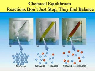 Chemical Equilibrium Reactions Don’t Just Stop, They find Balance