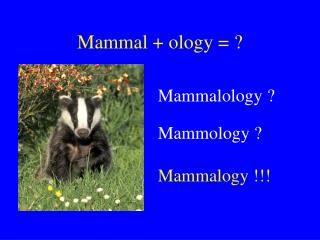 Mammal + ology = ?